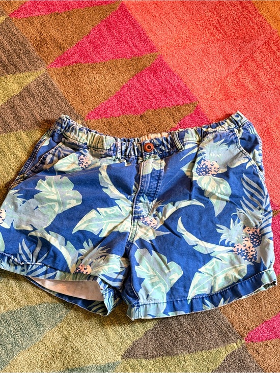 Hollister Other - Vintage Hollister Blue Tropical Leaf Shorts